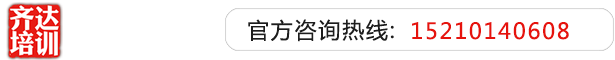 国内操老逼齐达艺考文化课-艺术生文化课,艺术类文化课,艺考生文化课logo